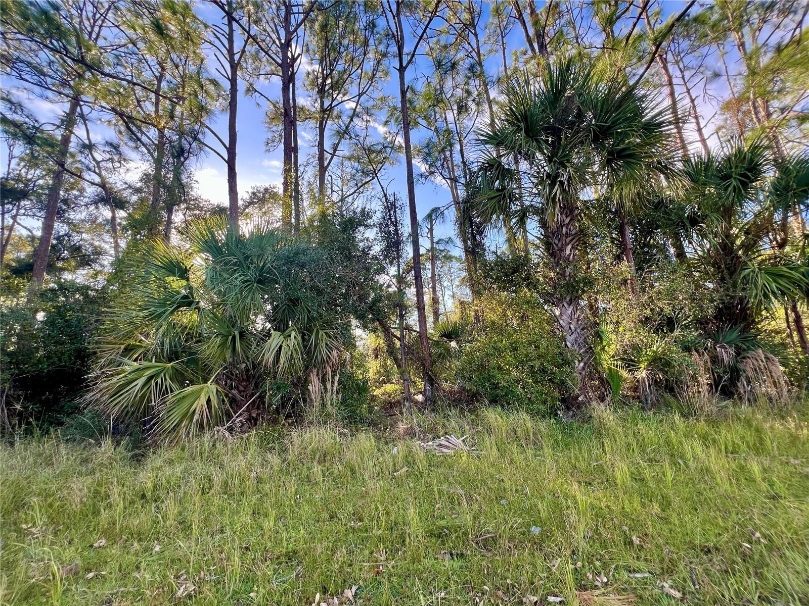 Beautiful lot offers a unique opportunity to build the home of your dreams, Situated in fast growing Nort Porth area.