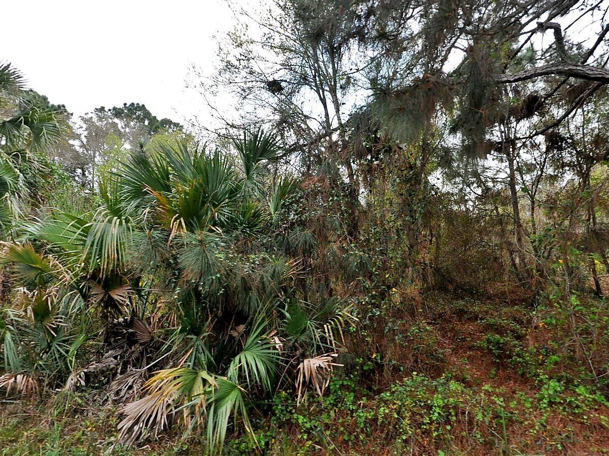 Now is a great time to invest in land or build your dream home in Southwest Florida. Great Quarter Acre Lot in North Port. Quiet and peaceful area with nice built homes