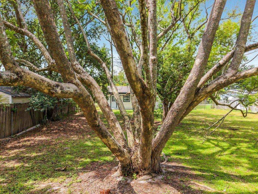 WILDMERE - Residential