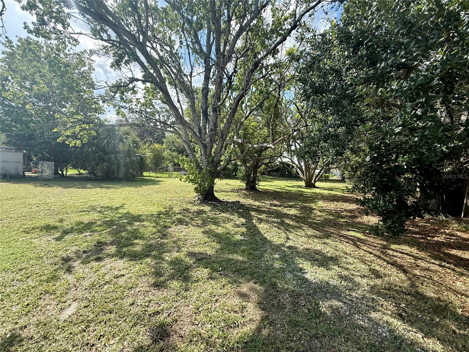WILDMERE - Residential