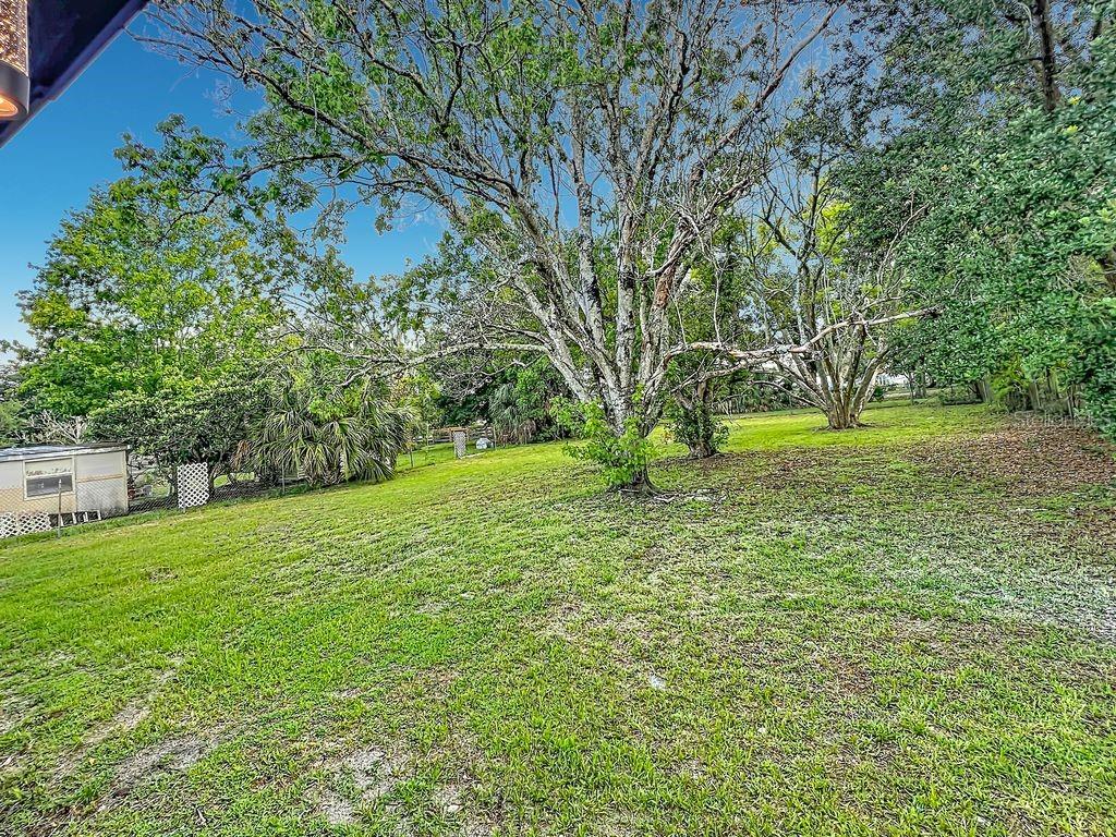 WILDMERE - Residential
