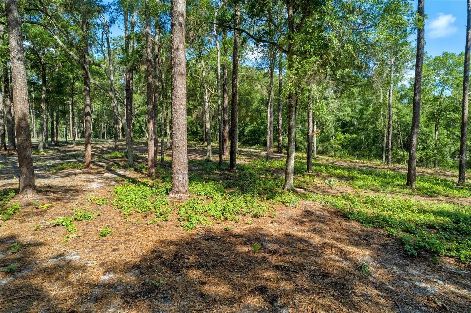 Discover nearly 10 acres of prime land, partially cleared and ready for your vision! This expansive property boasts 849 feet of frontage on State Road 44, offering plenty of space to build your dream home nestled within the trees for unparalleled privacy. The property includes a newer well, a 100-amp electrical box equipped with a 30-amp outlet, and four 110/115 electrical outlets with covers, with electric and septic already in place. Being zoned agricultural, the possibilities for use are endless. Don't miss this incredible opportunity! Call to schedule an appointment to view the property.