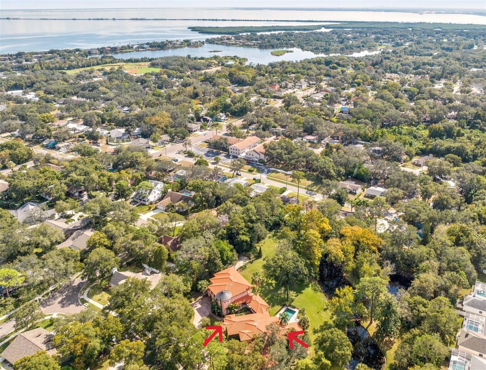 NEW PRICE IMPROVEMENT !!! This breathtaking custom designed Mediterranean estate home sits in a park-like
setting on a striking 2.5 acre, fenced and gated, idyllic, mature and inviting yard.
Yet, you can walk to downtown Safety Harbor with its famous restaurants and
marina on Tampa Bay. The estate is landscaped to showcase nature’s natural
beauty, with a villa-style pool, outdoor covered fully equipped kitchen and gas
fireplace, making it a rare example of perfect indoor and outdoor living. The
single-story main house has marvelous high ceilings, distinctive entrance with
unique architectural features throughout, a grand living area with gas fireplace
and lots of windows that provide a captivating view of the surrounding nature,
the light and lush landscaping. The grounds include 2 ponds with a picturesque
bridge connecting the two. You will find a 60 foot deep well for irrigation. The
accommodating and functional large gourmet kitchen with a walk-in service
pantry has everything for the chef in you; 6 gas burners, double ovens, tons of
generous counterspace and more! You can find two spacious split ensuite
bedrooms plus and office which can be an additional bedroom. Every detail of
this house is truly unparalleled and will be the envy of all. The two-story casita
includes an air-conditioned storage room, full pool bath, and a large ensuite
bedroom. This home boasts an impressive 27-foot-tall wine TOWER. Accessible
by a separate entrance, the casita upstairs is currently used as an office suite with

a fitness room, all wrapped around by a balcony with stunning views of the
property. Throughout this home, high impact Anderson windows and doors with
5-point locks give you security, energy savings and noise reduction. Along with
details like track lighting and an art museum quality hanging system, milled solid
wood interior doors and a stunning almost 300-year-old Egyptian door, this home
is a one-of-a-kind natural beauty. Bedroom Closet Type: Walk-in Closet (Primary Bedroom).