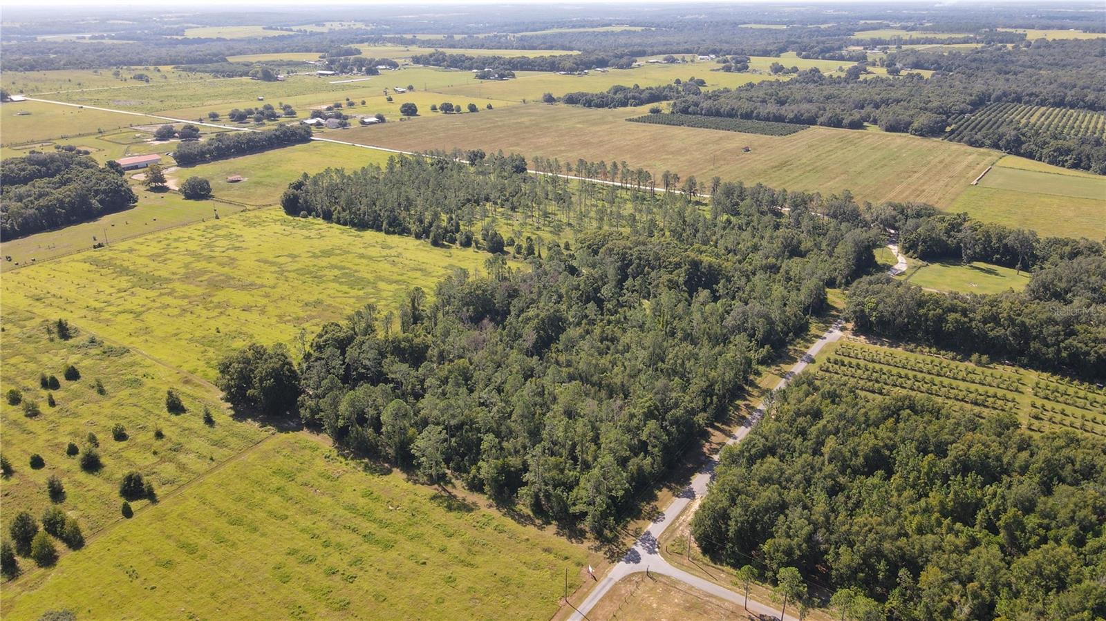 The subject property is a 10-acre gently rolling lot nestled in the hills of north Dade City. The lot is carved from a 40-acre parcel consisting of four 10-acre lots known as Amberlea Estates. It is mostly wooded and is accessible via 332 feet of frontage on Amberlea Road. Additionally, the site is tucked away allowing for a private, rural setting while still being in close proximity to modern conveniences. The property appears to be high and dry. Zoning is AC (Agricultural District), which allows for 1 unit per 10 acres, and future land use is AG/R (Agricultural Rural), which allows for 1 unit per 5 acres. Utilities are well and septic. There is a 6-inch well on site that is permitted for an average GPD of 16,900, peak GPD of 69,200, and max GPD of 517,000.

The property is located in Dade City on Amberlea Road in scenic northern Pasco County. Its proximity to I-75 allows for quick travel times to Wesley Chapel (20 minutes), downtown Tampa (40 minutes), Tampa International Airport (40 minutes), St. Petersburg (1 hour), Ocala (1 hour), and Orlando (1 hour 20 minutes). Local shopping, schools and medical are all within 15 minutes as well. Access is provided by taking Jessamine Road to Amberlea Road. Once on Amberlea, the property is 0.65 miles down on the right.

Amberlea Estates has some deed restrictions. See attached.