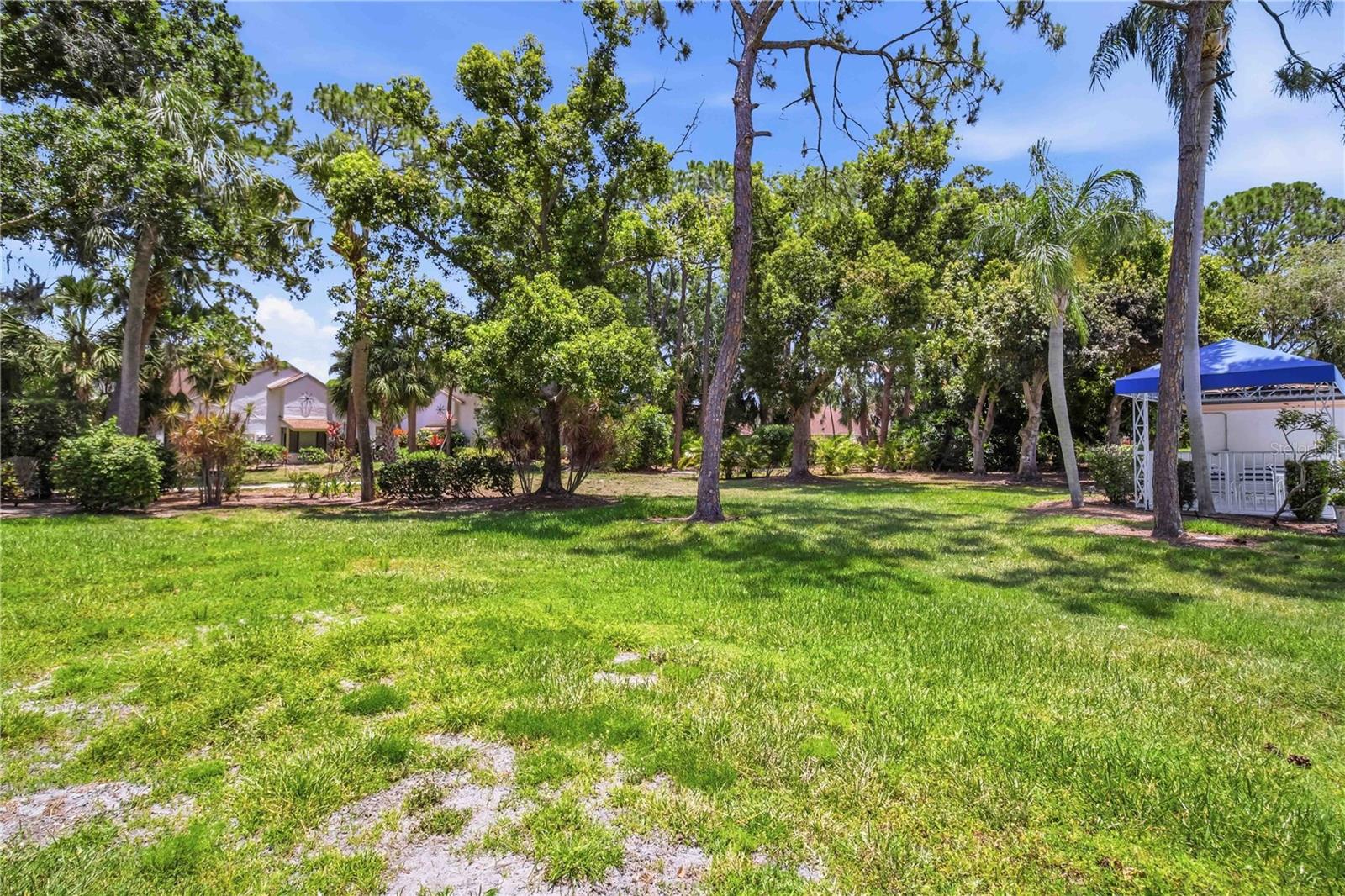 WEDGEWOOD LAKE - Residential