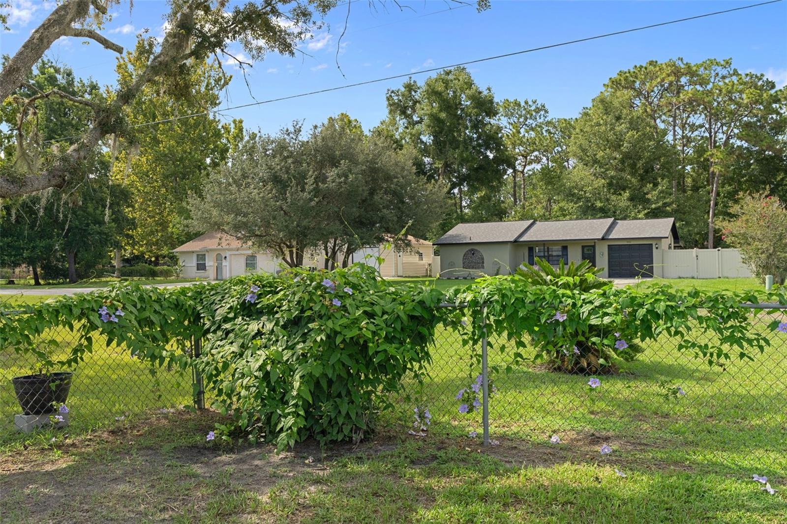 HOMOSASSA UNIT 04 - Residential