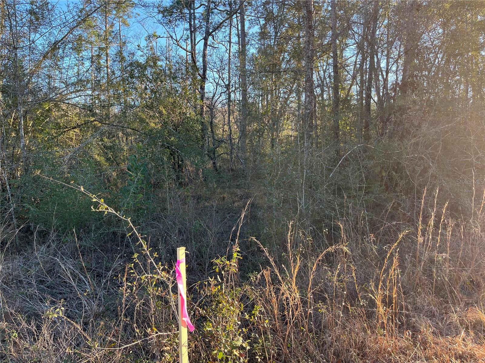 COMPASS LAKE HILLS - Land