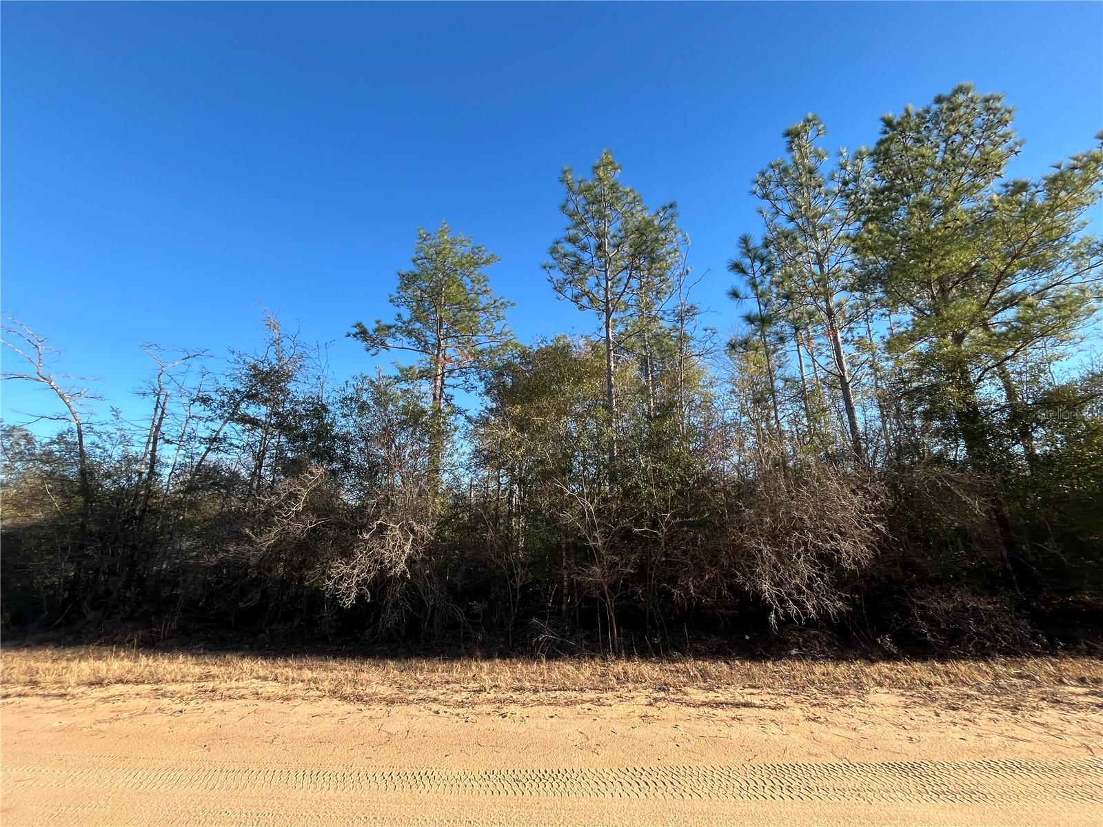COMPASS LAKE HILLS - Land