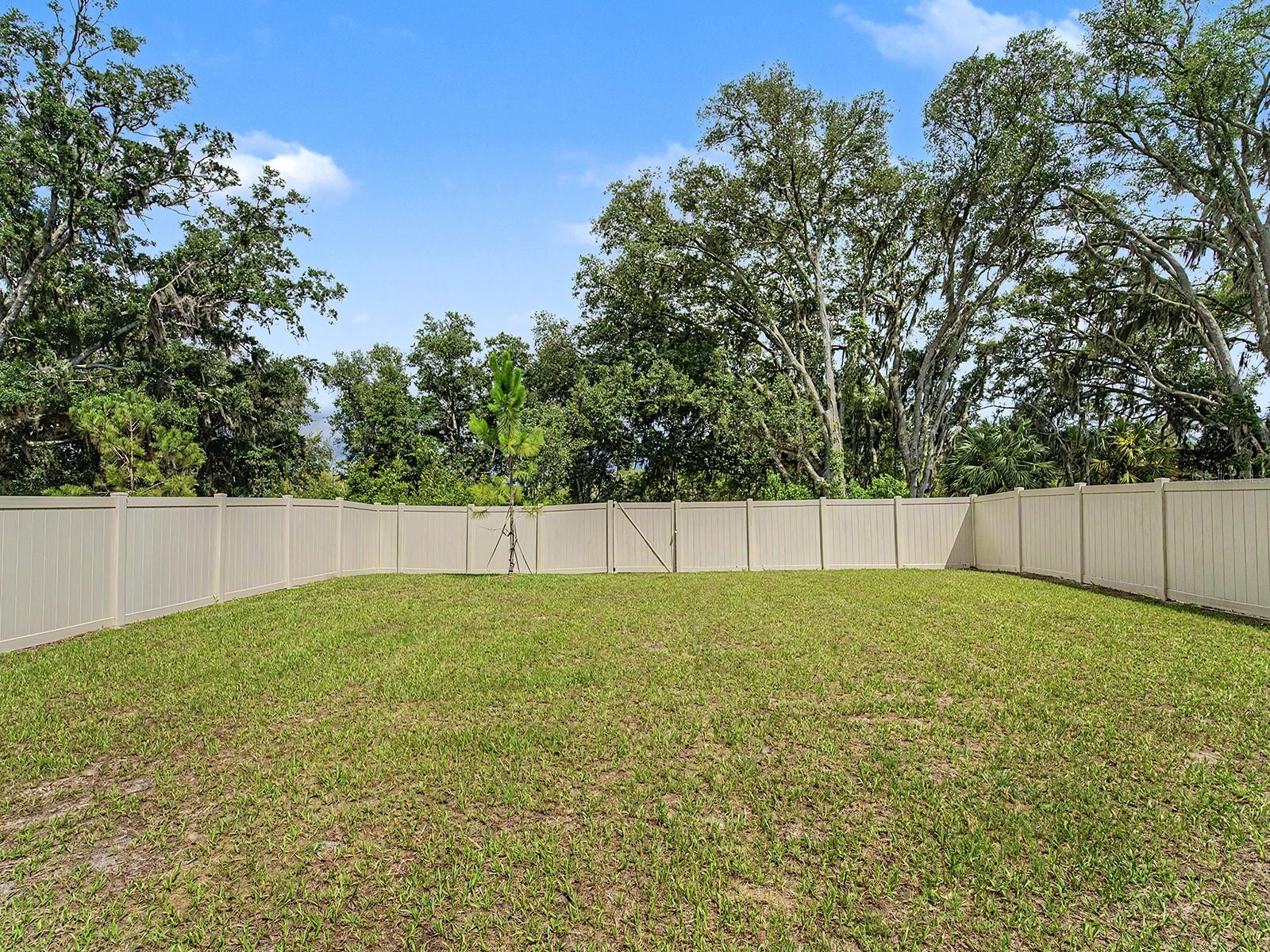HAYS ROAD - Residential