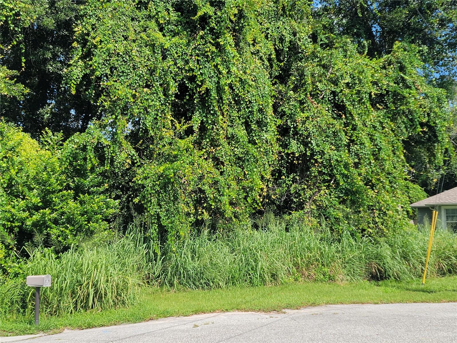 DELTONA LAKES UNIT 12 - Land