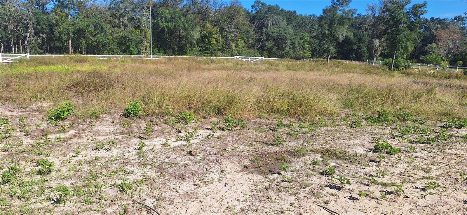 RIDGE MANOR ESTATE - Land