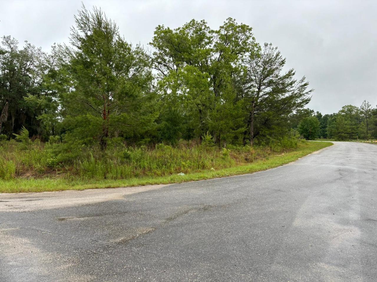 Large lot — 0.31 acres on Malauka Radial Drive. R1 zoned, no HOA, no CDD. Flat, treed, ready for site plan. Silver Springs Shores is the fastest-growing pocket between Ocala and The Villages. Build your custom home or hold for appreciation. Well + septic community. Close to Lake Weir and Ocala National Forest.