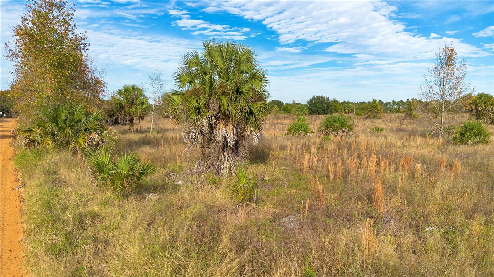 LANE PARK LOWELLS ADD - Land