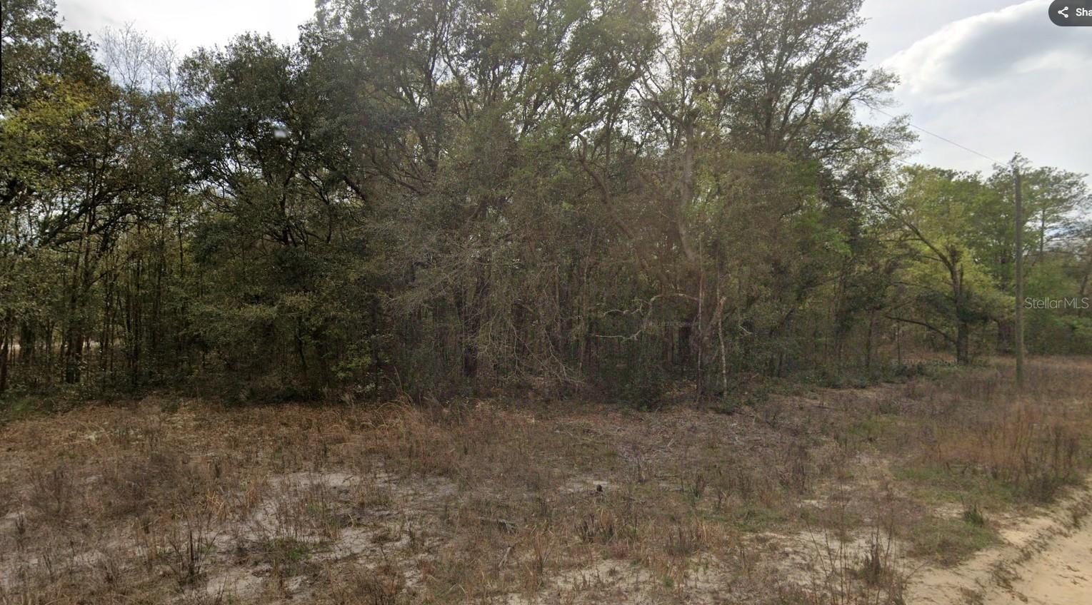 INTERLACHEN LAKES ESTATES - Land