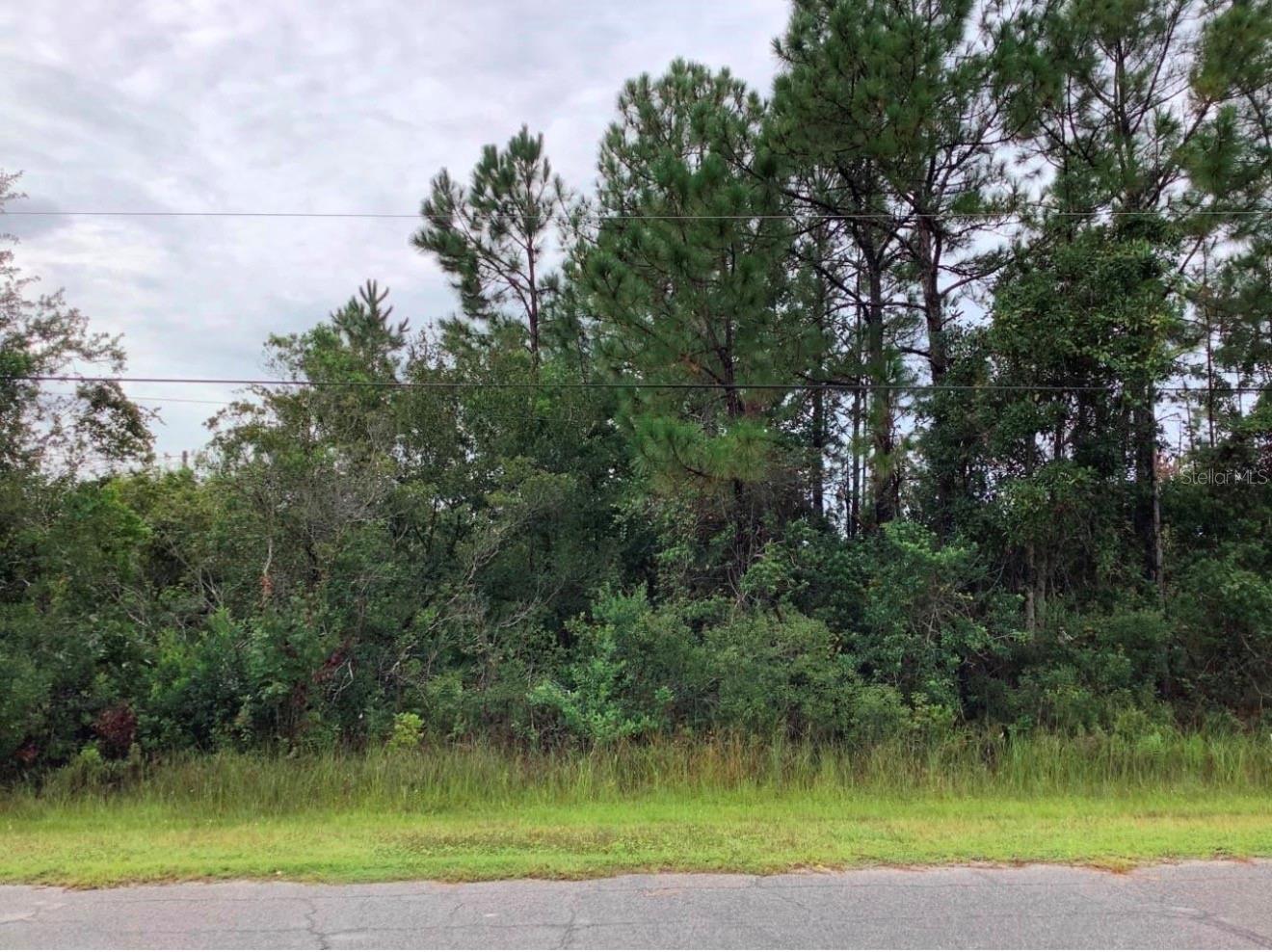 CAPE ORLANDO ESTATES - Land