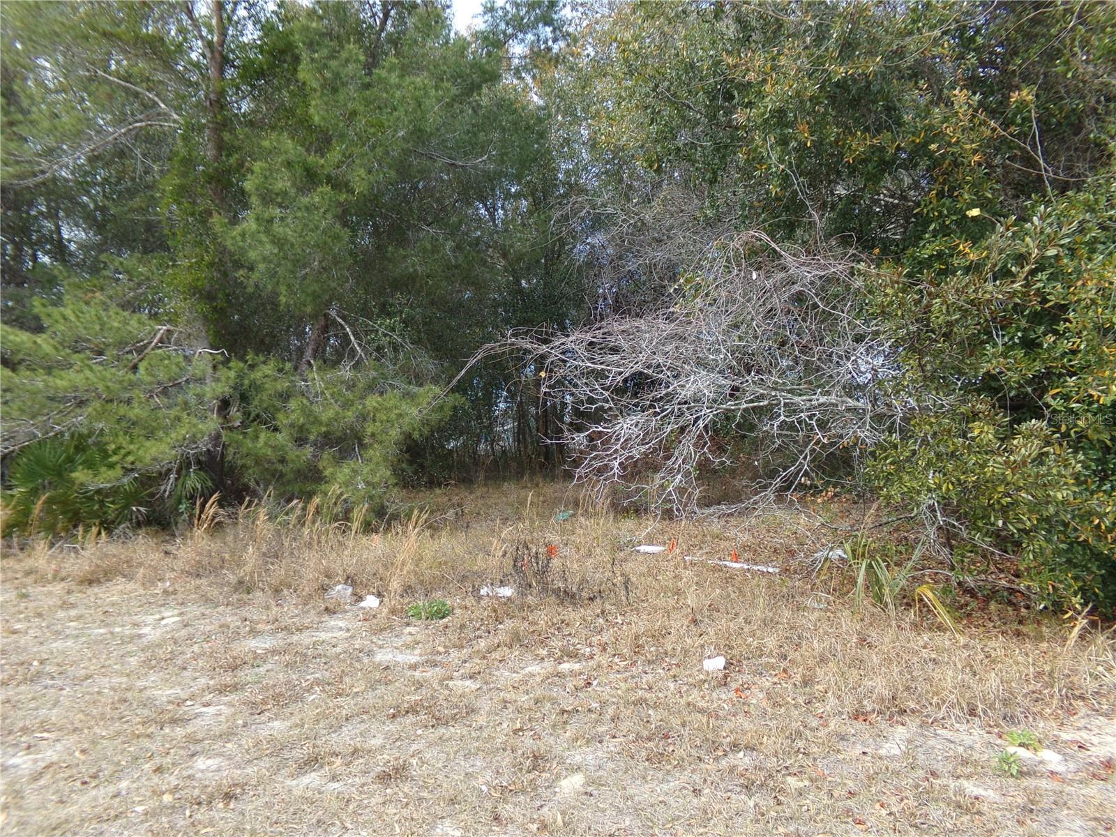 DELTONA LAKES UNIT 39 - Land