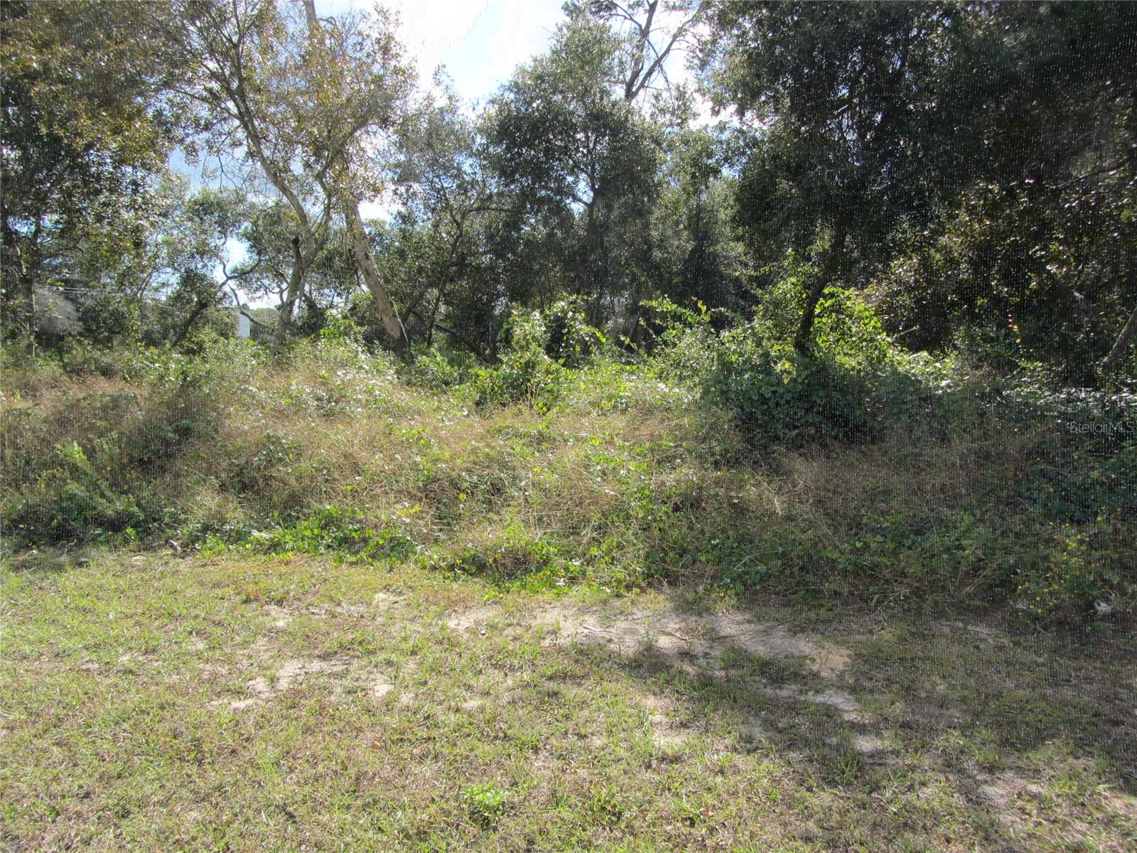 DELTONA LAKES UNIT 39 - Land