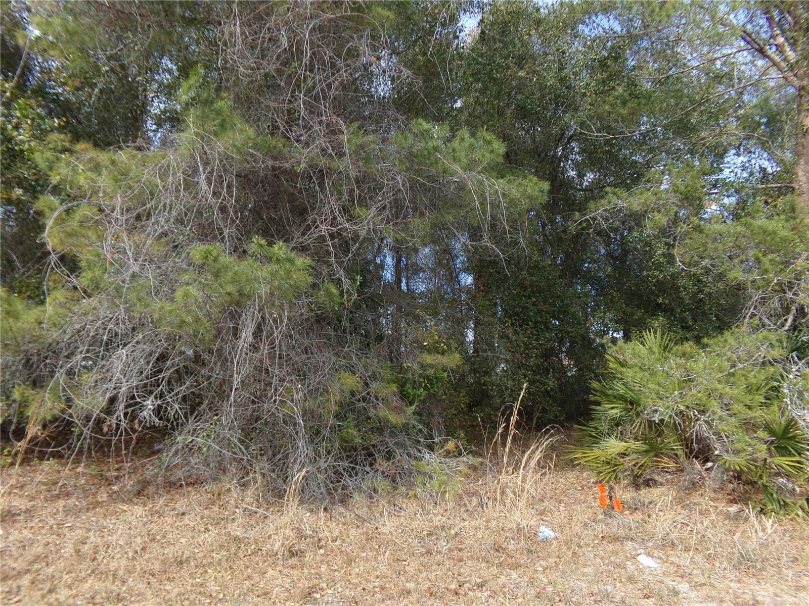 DELTONA LAKES UNIT 39 - Land
