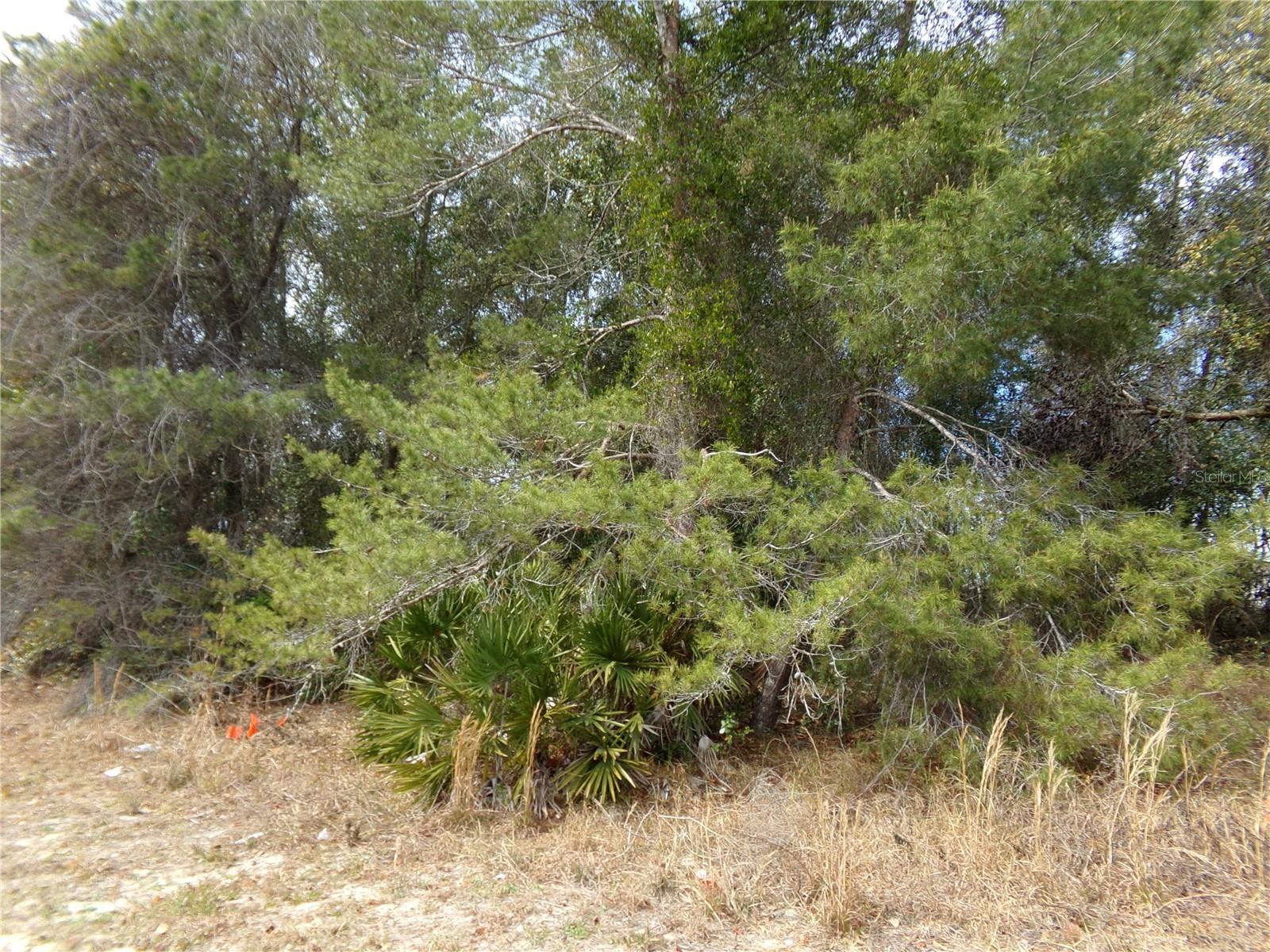 DELTONA LAKES UNIT 39 - Land