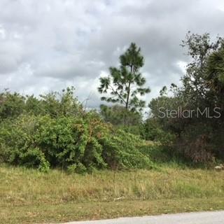 PORT CHARLOTTE SUB 36 - Land