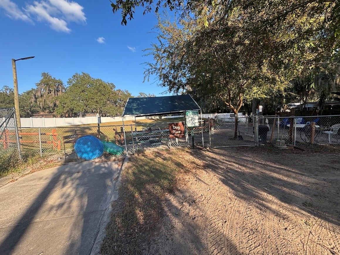 SALT SPRINGS RESORT - Residential