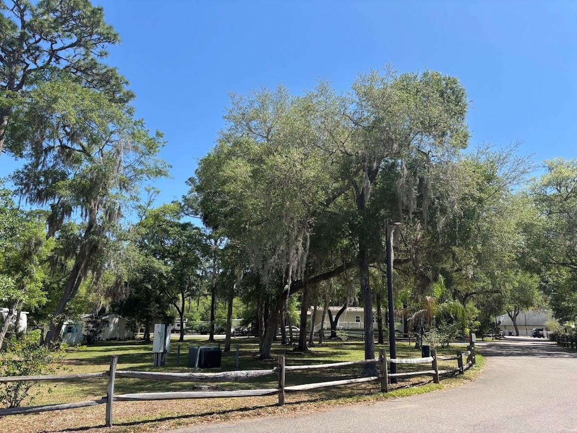 SALT SPRINGS RESORT - Residential