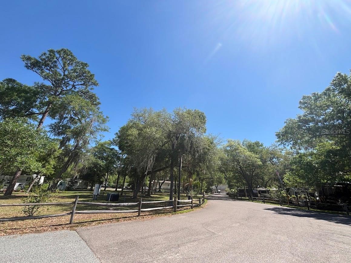 SALT SPRINGS RESORT - Residential