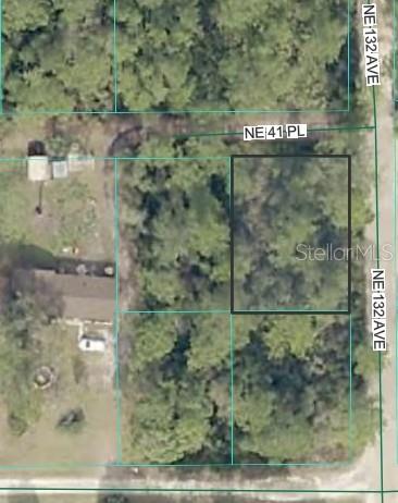 Prime vacant lot available on NE 41st Pl in the desirable Silver Springs area! This peaceful, wooded parcel provides a fantastic footprint to design a private homestead or addition to your investment portfolio. Located just outside the hustle and bustle of Ocala, this property lets you embrace a relaxed lifestyle surrounded by North Central Florida’s best natural wonders. You are a short drive from world-class trail systems, crystal-clear natural springs, and abundant wildlife. Package Deal Potential: The neighboring lot (Parcel 1661-004-024) is also on the market. Acquire both to double your acreage, providing maximum space and flexibility for your builder. No HOA means freedom to store your boat or recreational toys. Buyer to verify all utility hookups, zoning regulations, and building codes with local authorities. Schedule your drive-by today!