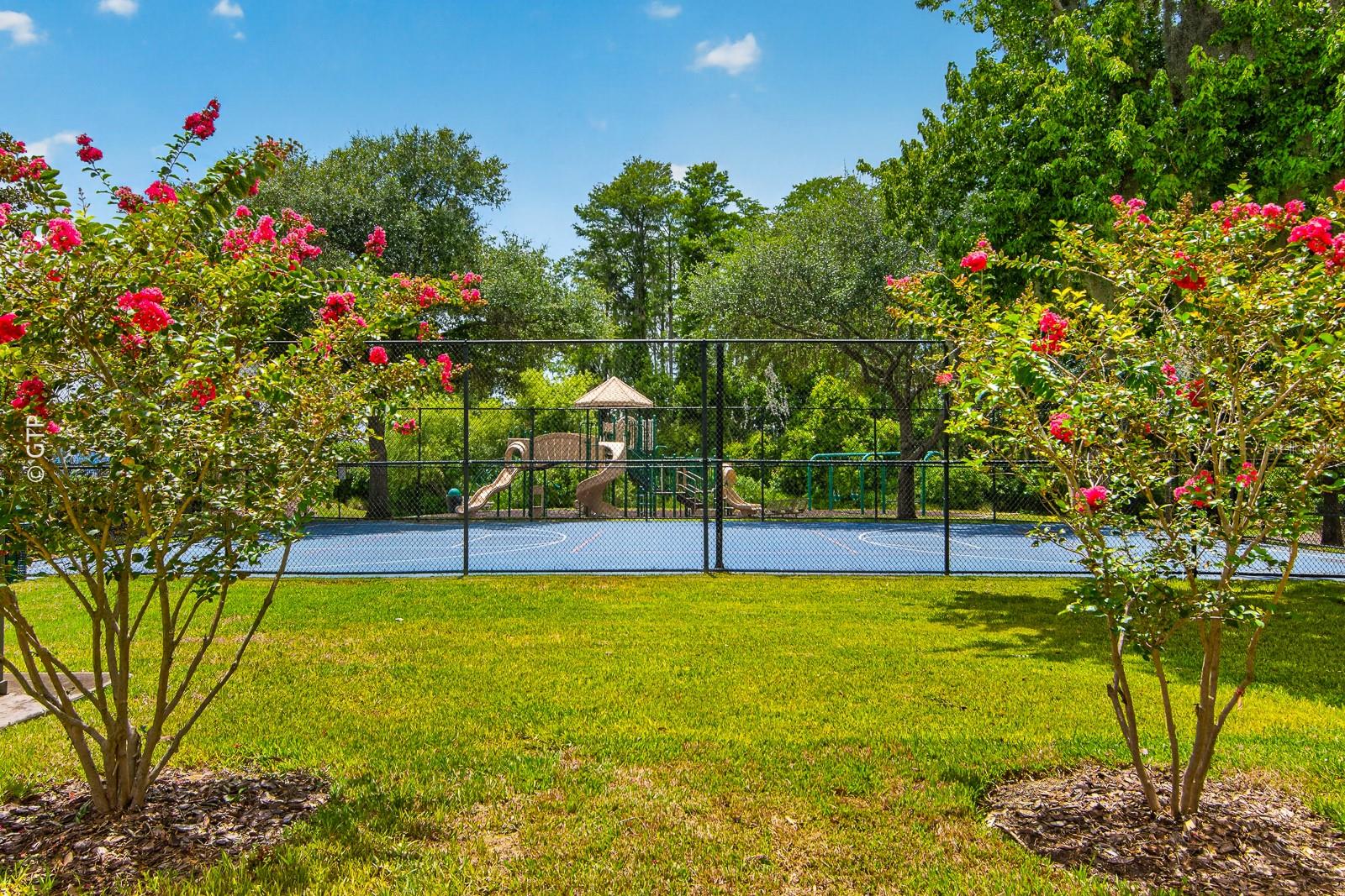 WATERS EDGE 02 - Residential