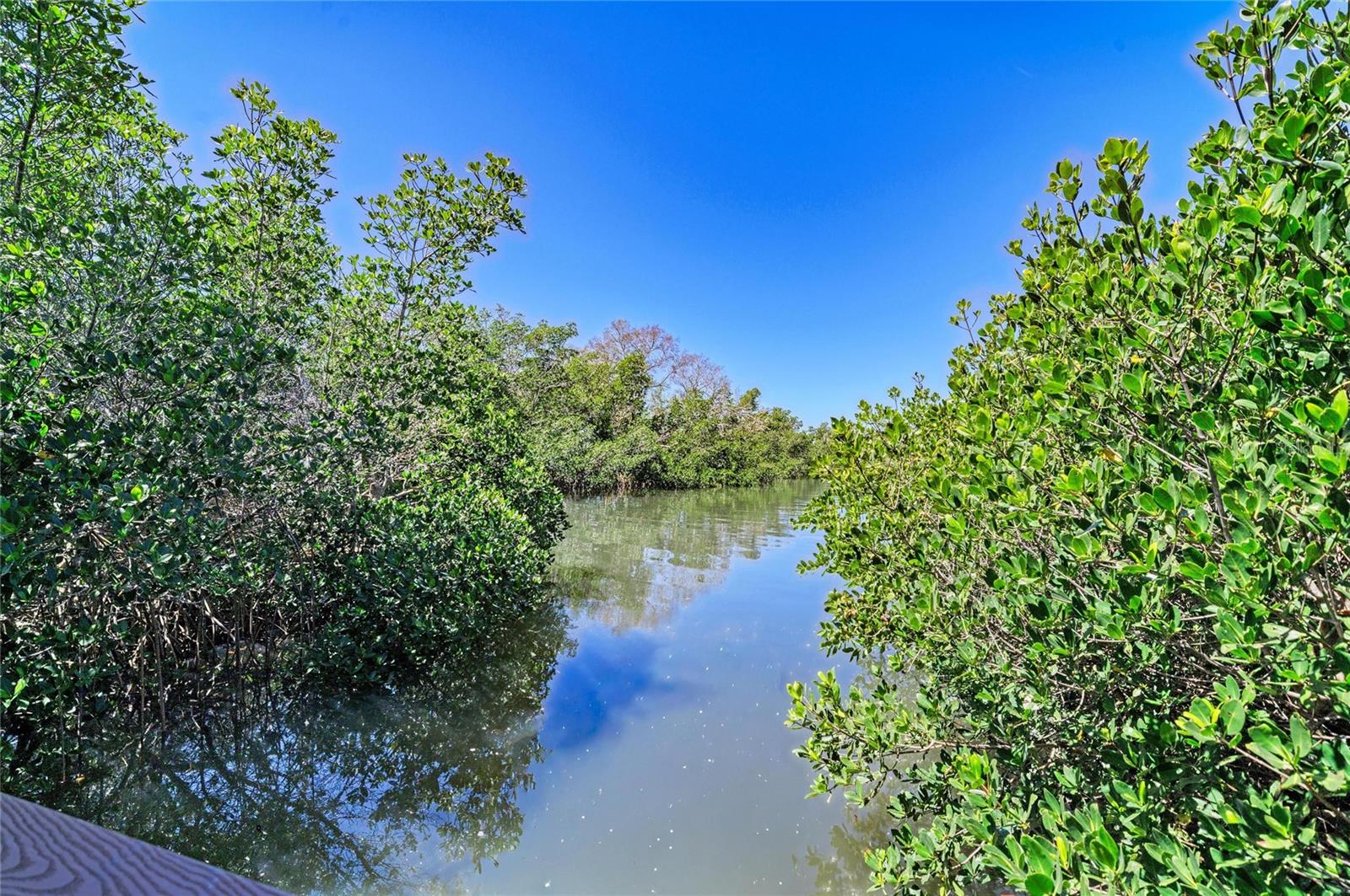ACREAGE - Commercial Sale