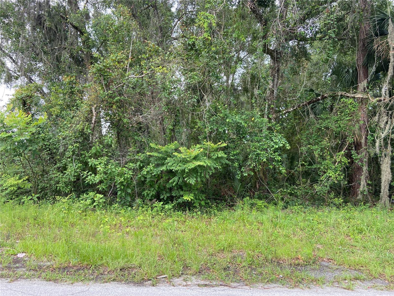 Beautiful Deland Land almost 5 ac in the middle of everything, close to school and min to Historical Downtown Deland. The best deal on land this size and in a establish neighborhood.