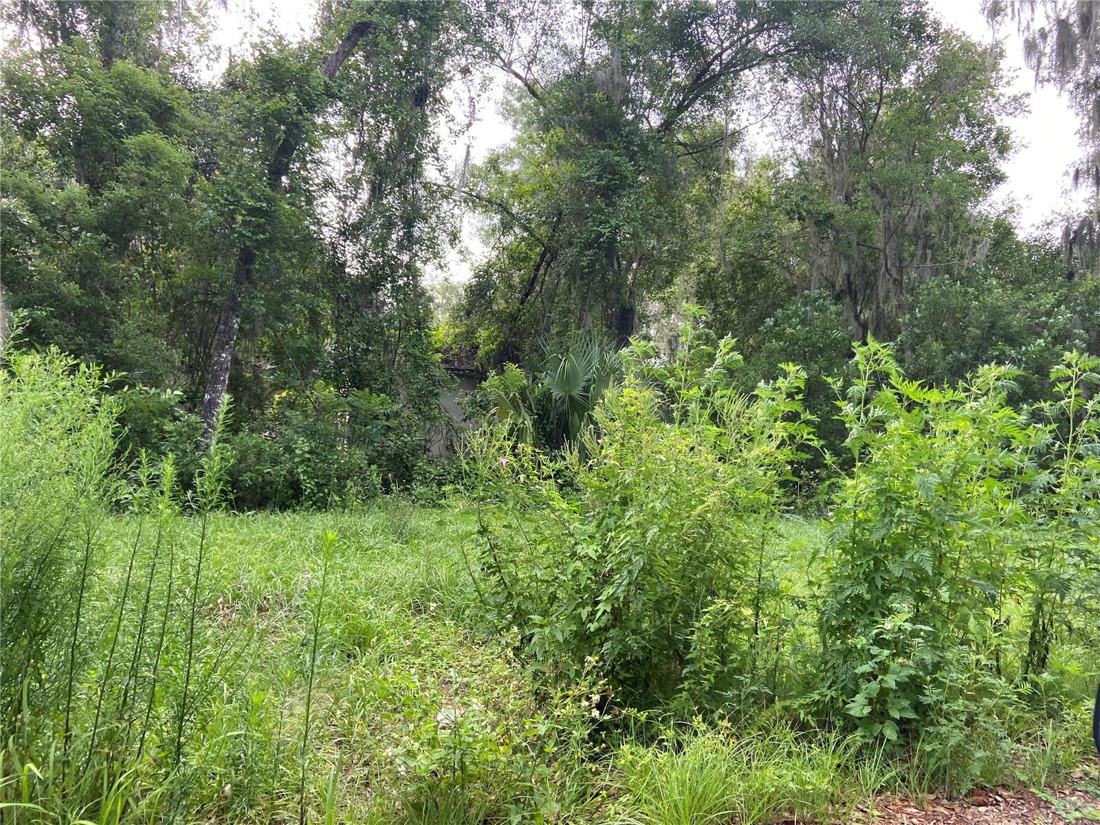 BRADLEY PARK - Land