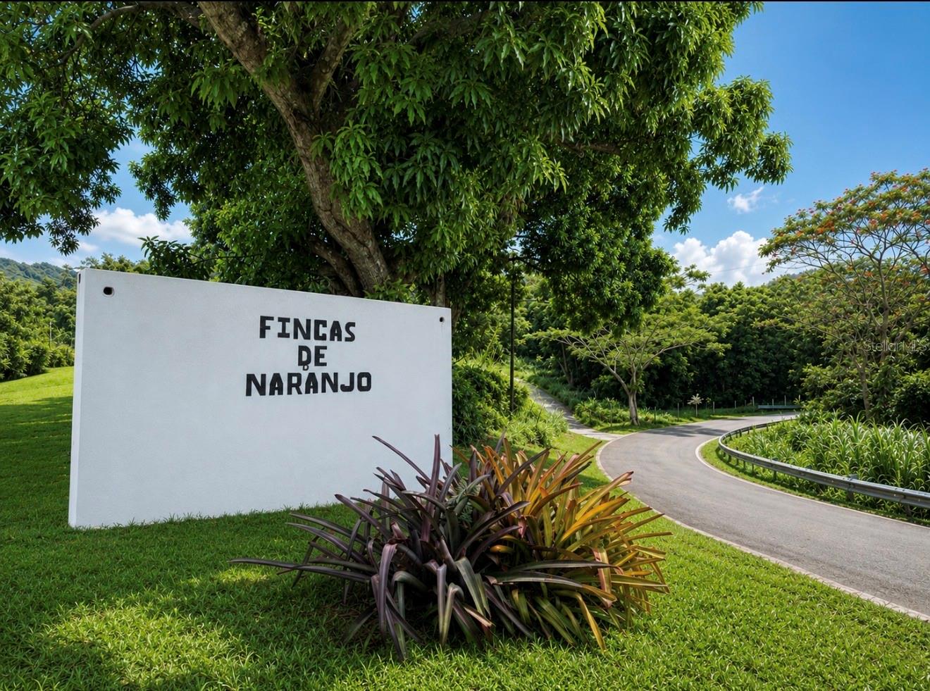 Discover an outstanding opportunity to own **10 acres (approximately 39,696.94 m²)** in the peaceful community of **Fincas de Naranjo, Fajardo, Puerto Rico**. This exceptional property offers the perfect setting to build your dream home, establish a private farm, or develop an investment project in one of eastern Puerto Rico's fastest-growing areas. Surrounded by nature and offering privacy, the land features **active construction permits**, making it ready for your vision. Conveniently located with easy access, just few minutes to major roads, shopping, schools, beaches, marinas, and Fajardo's top attractions, this property combines tranquility with accessibility, making it an excellent opportunity for residential, agricultural, or investment purposes.