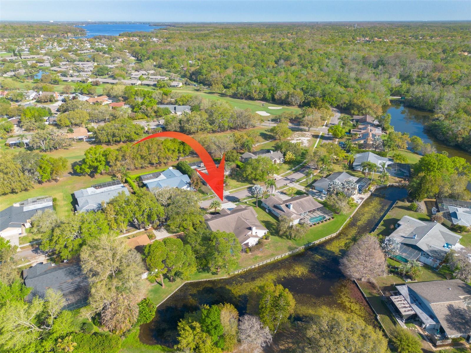 EAST LAKE WOODLANDS - Residential
