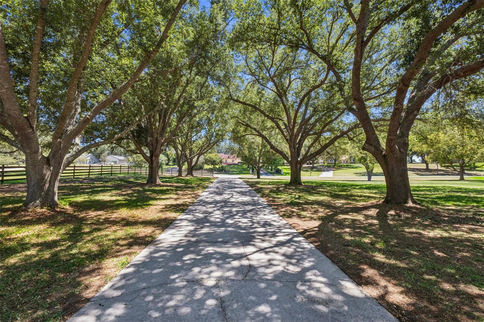 TRAILS OF MONTVERDE SUB - Residential