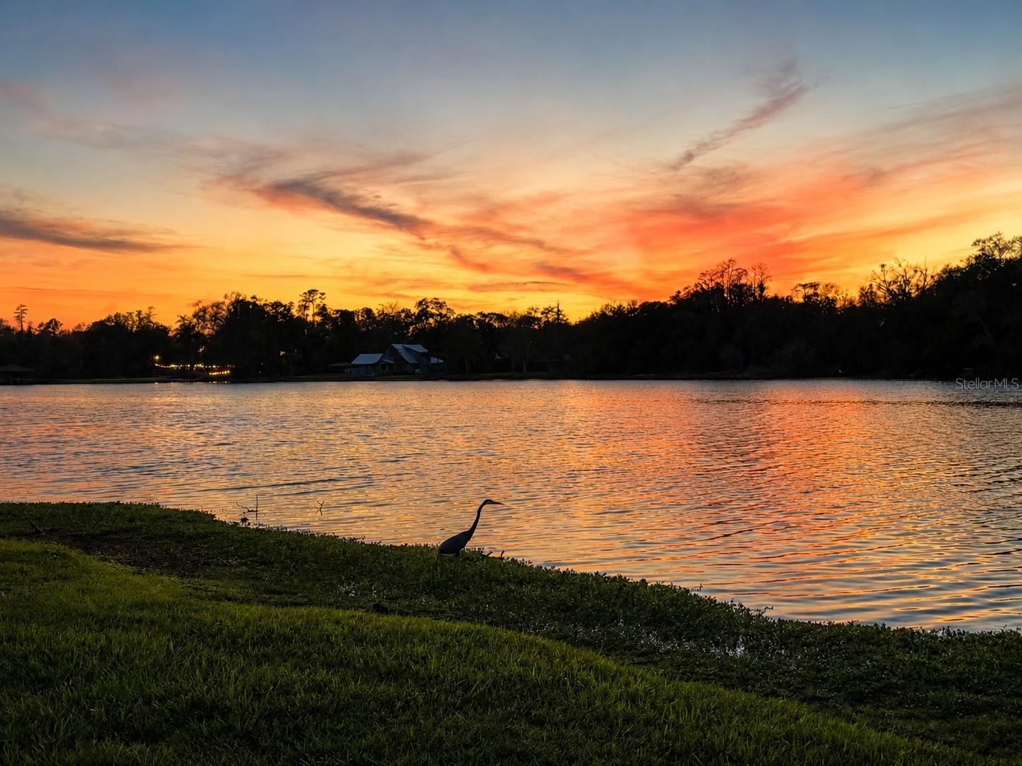 BAY LAKE ESTATES - Residential