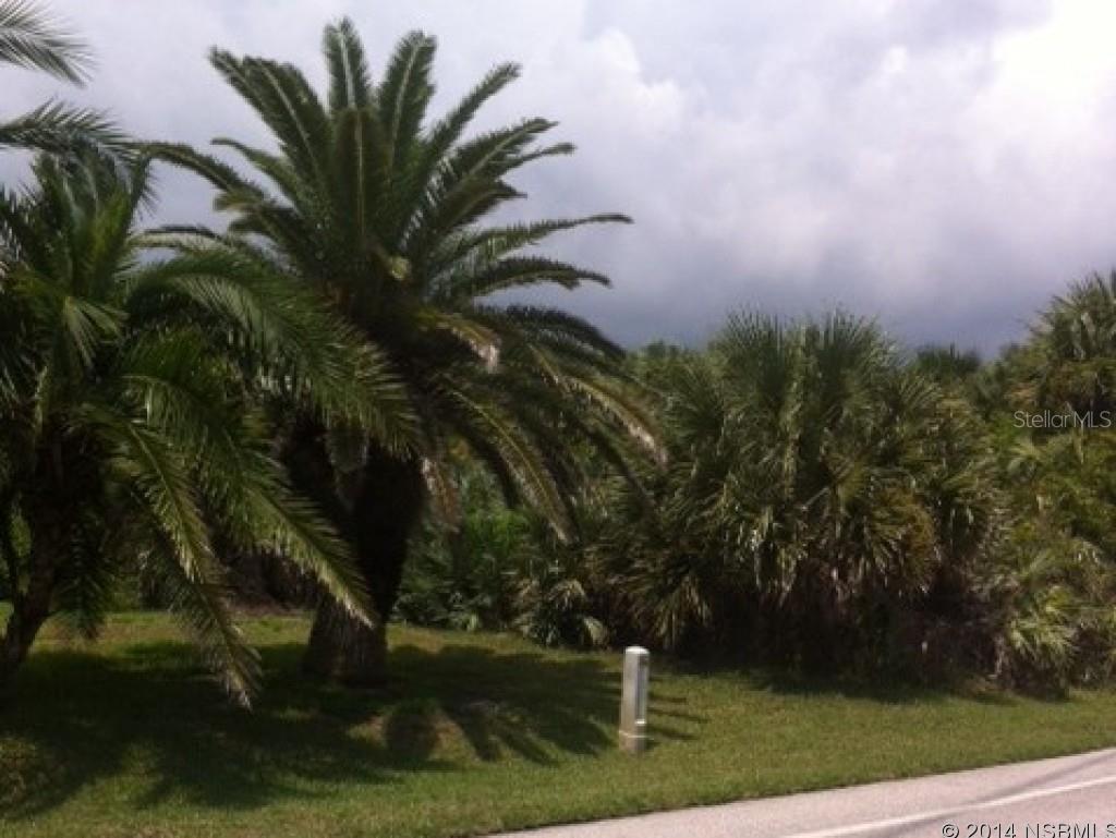 Nice Beachside Building Lot that is within easy walking distance to the Beach Walkover and it is also Adjacent to a Boat Launch area that gets you to Mosquito Lagoon in 15 minutes. A Nice Two Story Home Would Allow Views of the Marshes,Lagoon and Beach. Ready to build on after clearing, with little or no fill dirt required. All information contained within this advertisement and/or MLS listing is intended to be accurate but not guaranteed.; Cleared: No ;Water: Available at Site