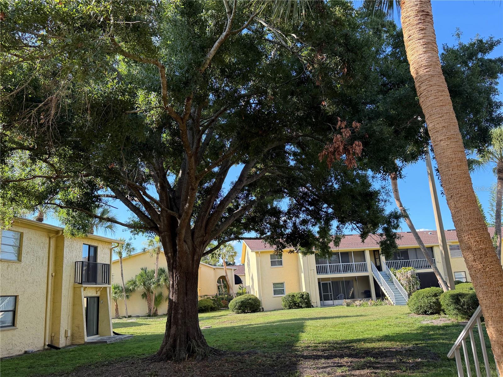 THE GREENS OF TOWNN COUNTRY - Residential Lease