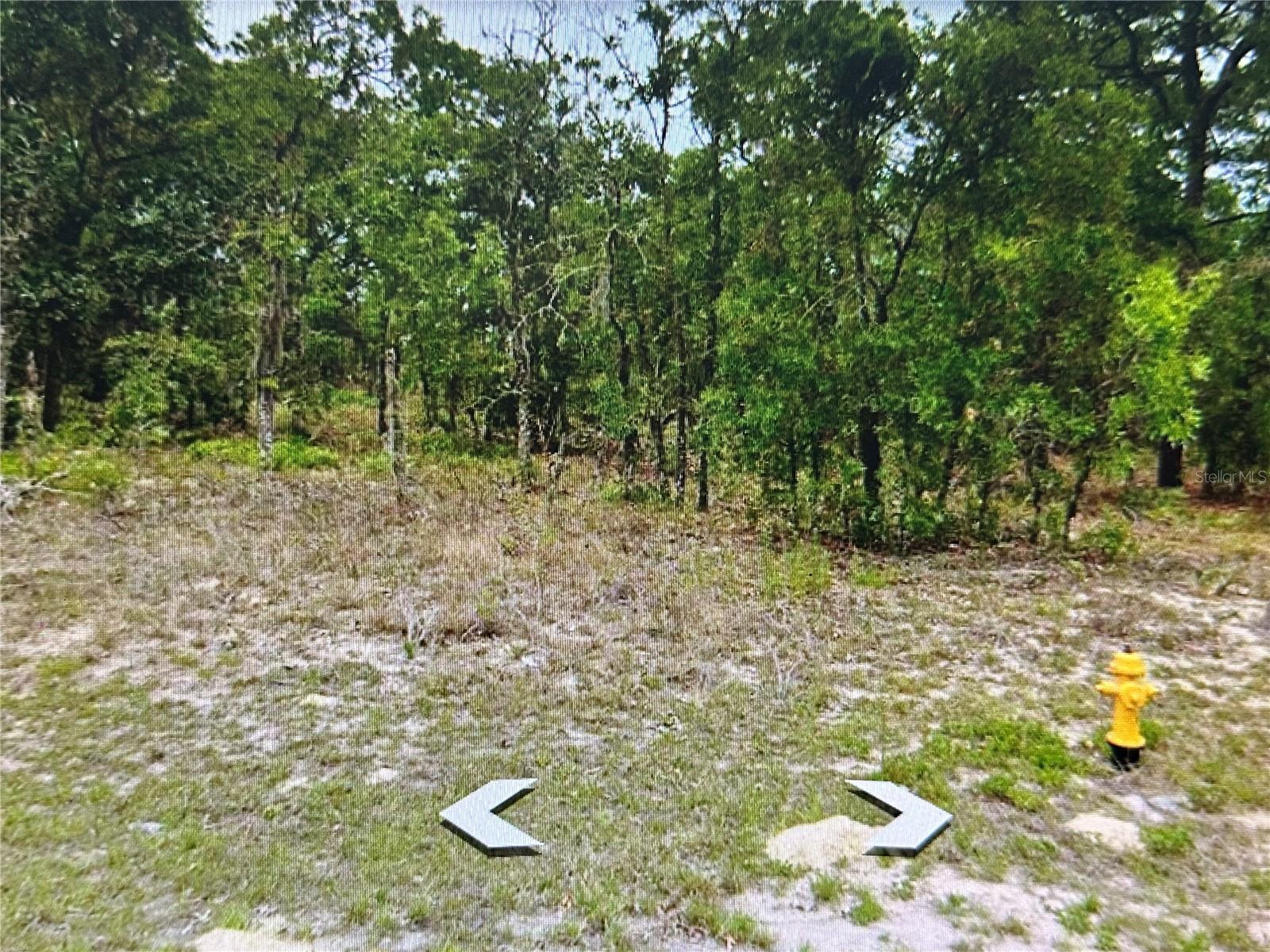 CITRUS SPGS UNIT 23 - Land