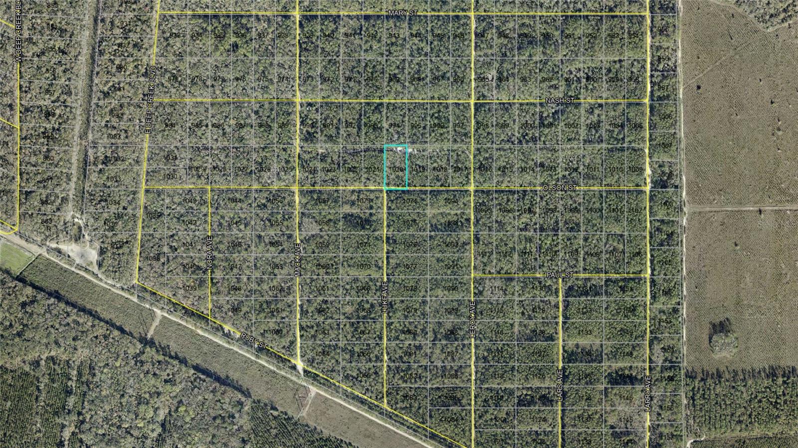 Discover the opportunity to own a slice of Old Florida in the growing Flagler Estates area of Flagler County! This vacant lot on Olson St offers a peaceful rural setting surrounded by natural beauty, wooded landscapes, and spacious surroundings. Whether you're looking to build your dream home, invest for the future, or enjoy extra privacy away from the busy city, this property provides endless potential. Conveniently located with access to major roadways, the property is within driving distance to Hastings, Palm Coast, St. Augustine, shopping, dining, schools, and Florida’s beautiful beaches. Enjoy country-style living while still being close to everyday conveniences. No HOA and plenty of room to create the lifestyle you’ve been looking for!