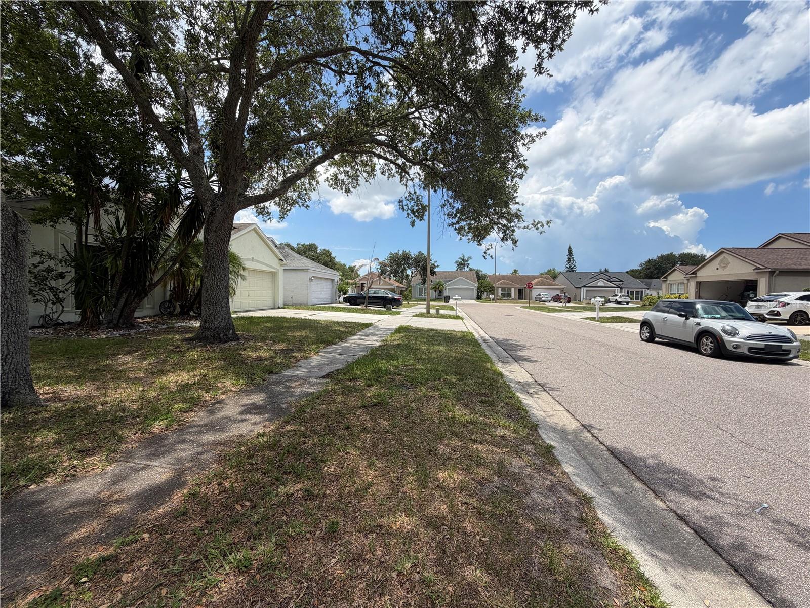 SHELDON CHASE - Residential