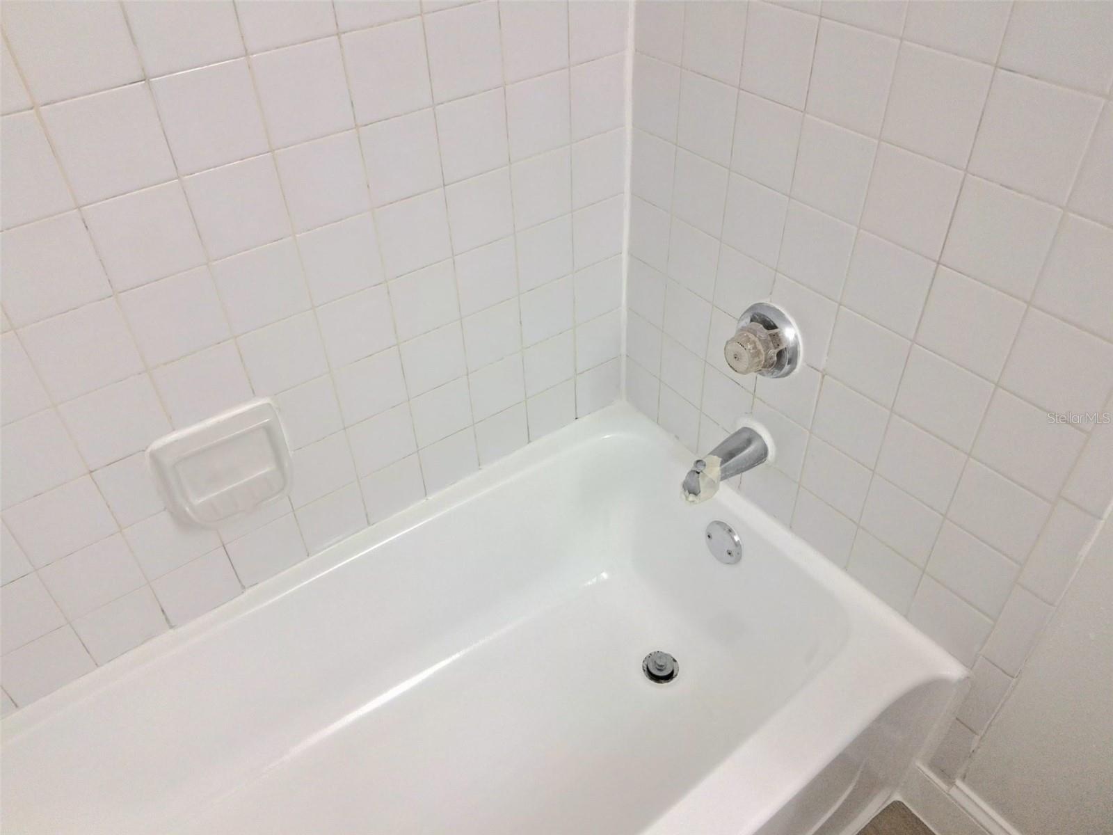 OASIS AT PEARL LAKE A CONDO - Residential Lease