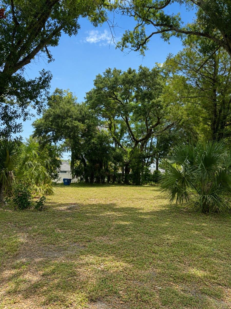 COLONIAL PLACE REV - Land