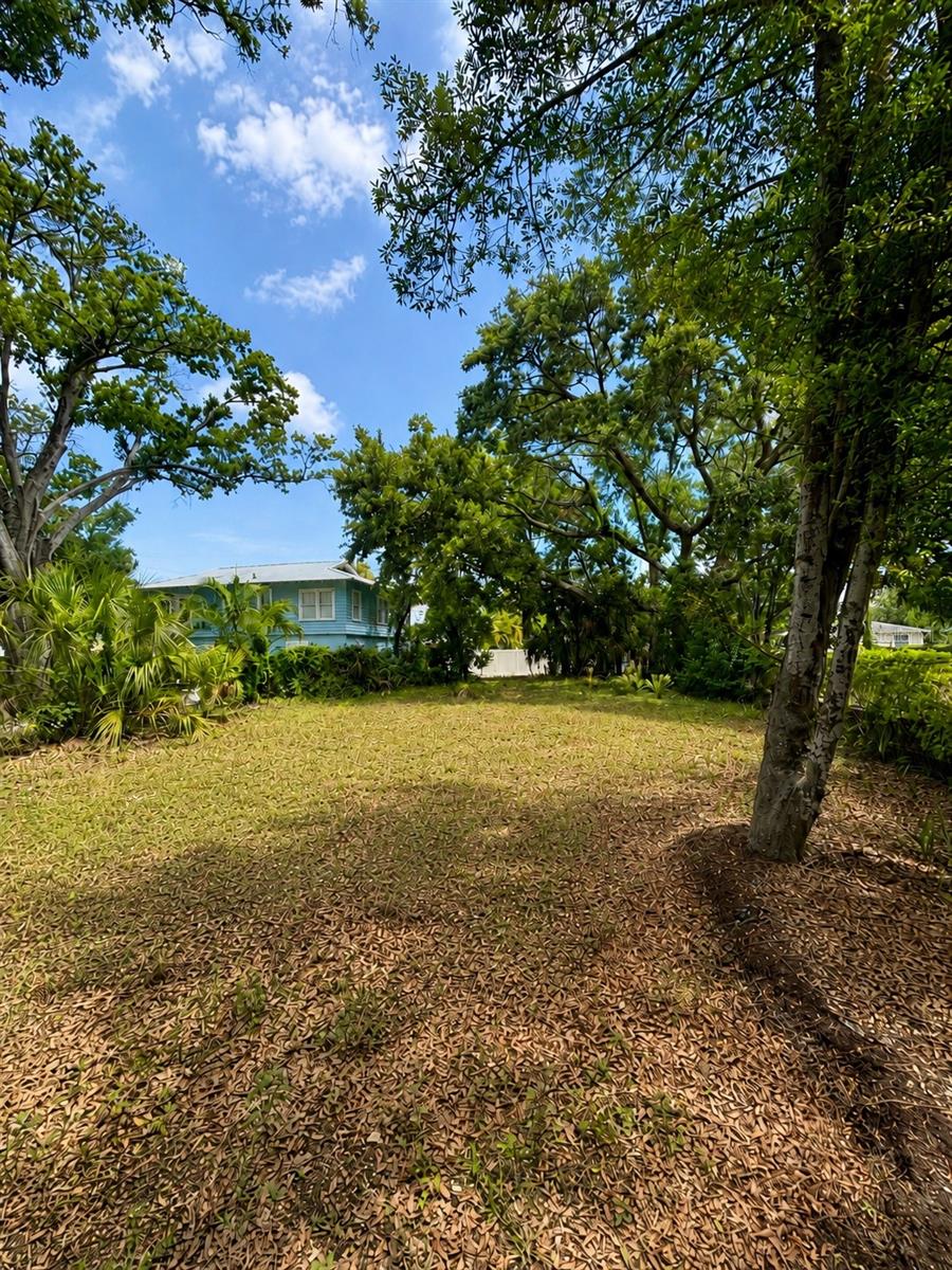 COLONIAL PLACE REV - Land