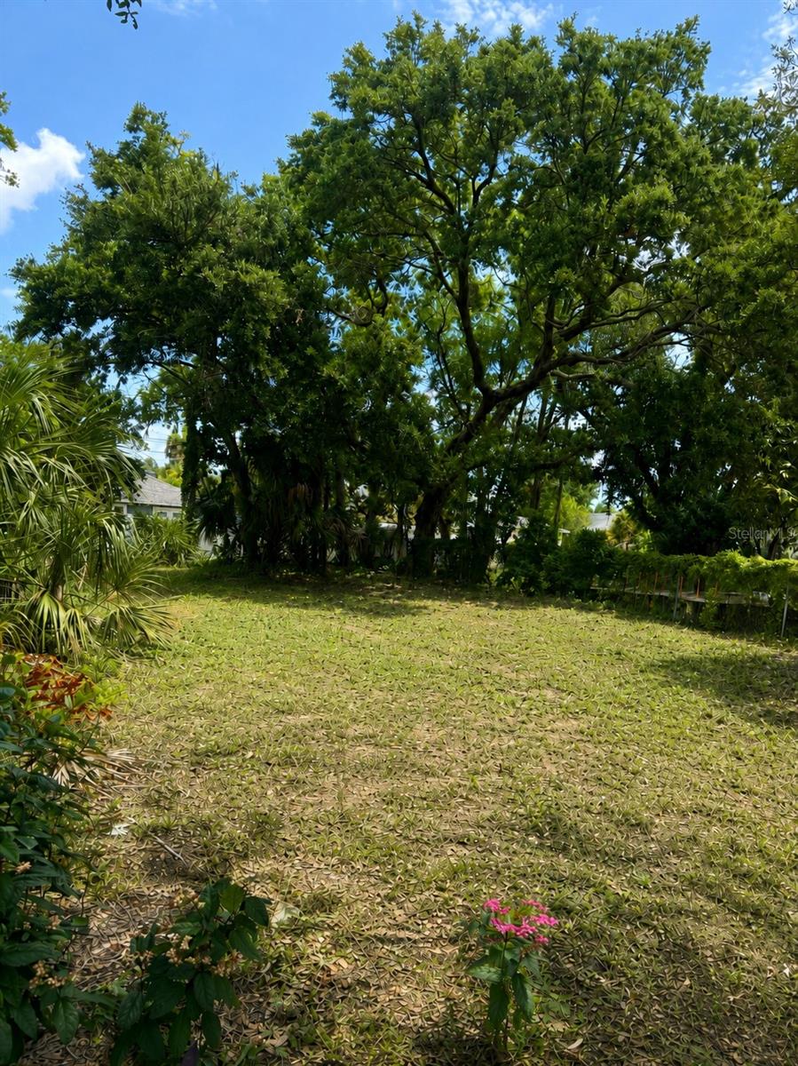 COLONIAL PLACE REV - Land