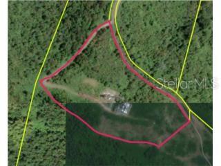 Property Description: Land located at Km 63.2, Carril 3, Santiago y Lima neighborhood, Naguabo, with coordinates 18.198188, -65.701015, and a registered area of 30,342.61 square meters.

The parties declare that they have the legal capacity to enter into this agreement and hereby set forth the following terms:

- The property owner agrees that the REAL ESTATE BROKER shall be the exclusive real estate broker representing them in the sale of the property.

- This contract is valid for a term of 6 months from the date of execution.

- The sale price of the property shall be: $3,500,000.00 or any other agreed-upon price.