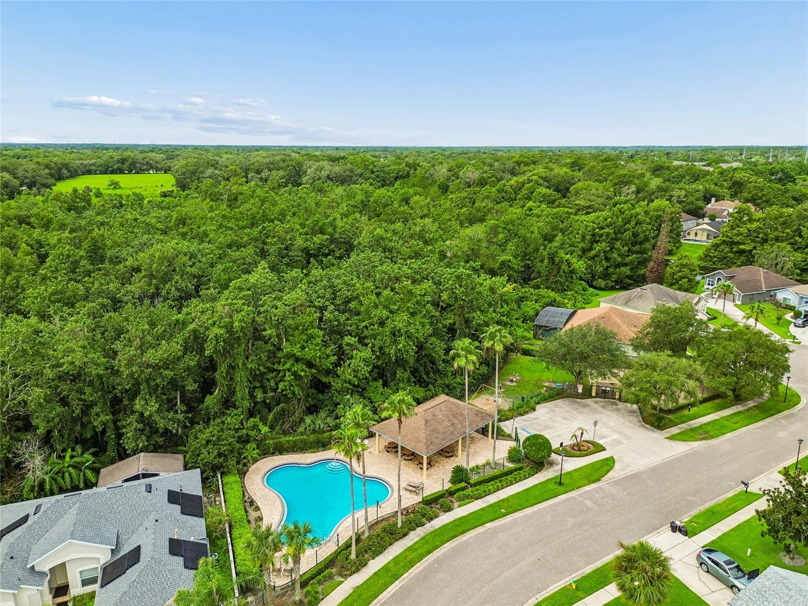THE ENCLAVE AT ALOMA WOODS PH 4 - Residential
