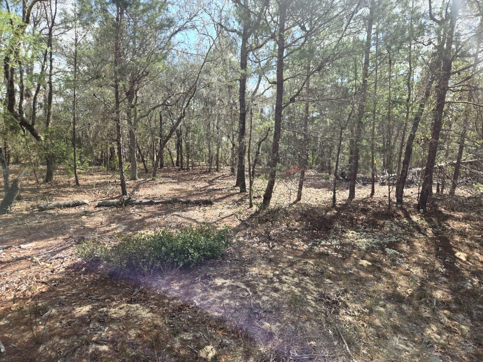 INTERLACHEN LAKES ESTATES - Land
