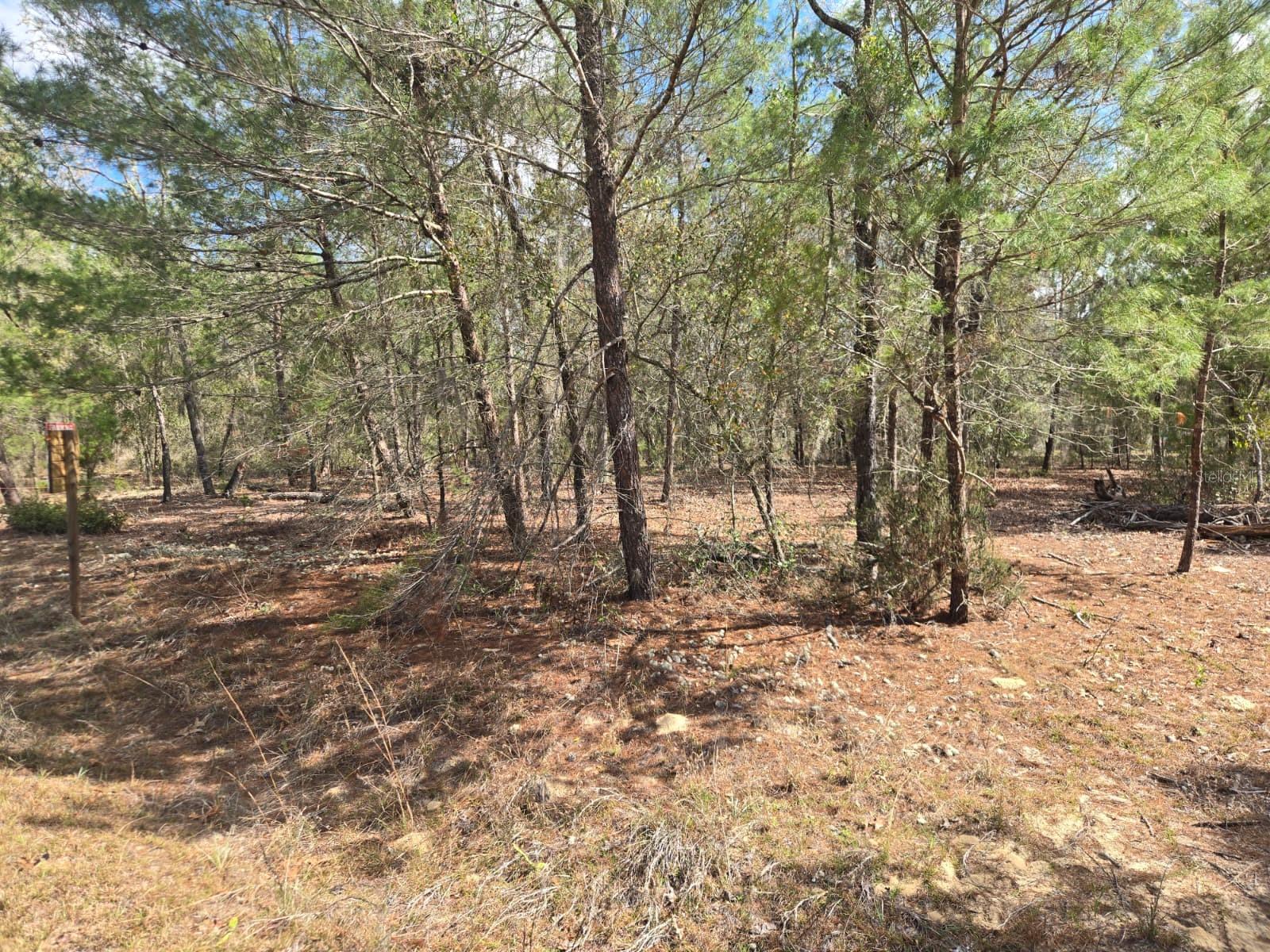 INTERLACHEN LAKES ESTATES - Land