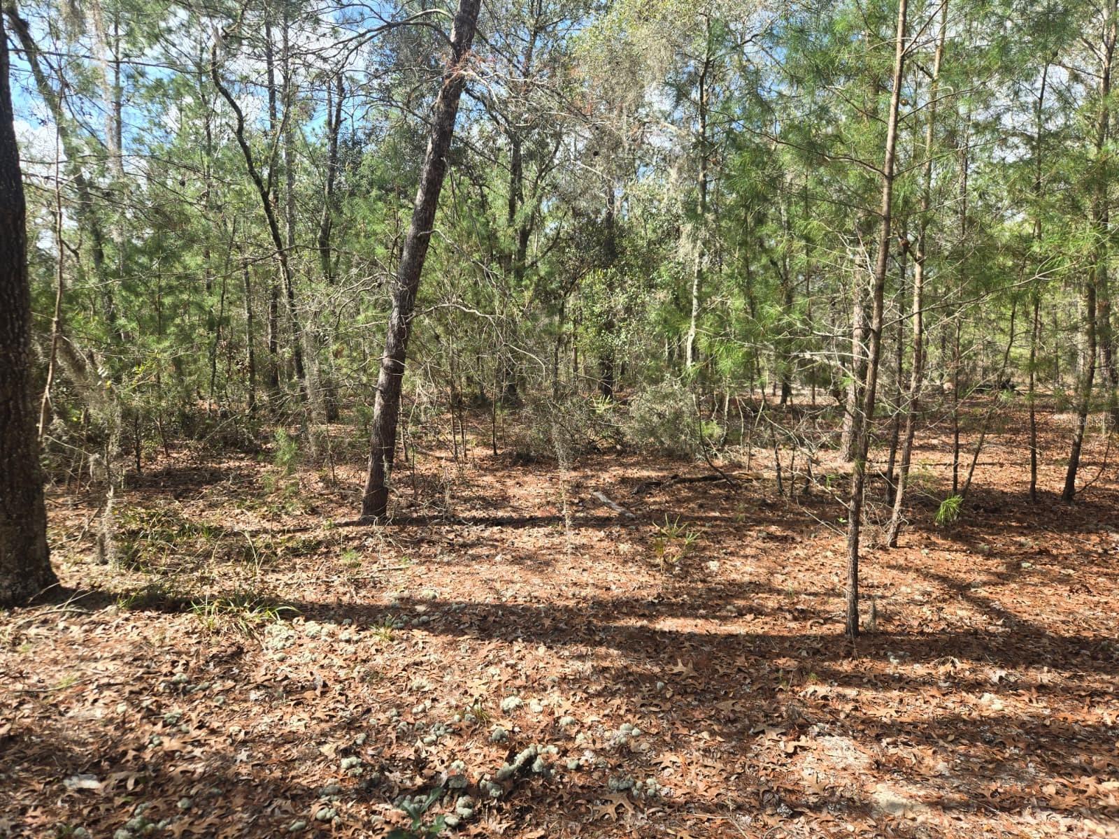 INTERLACHEN LAKES ESTATES - Land